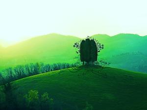 תמונה ראשונה מהמצגת